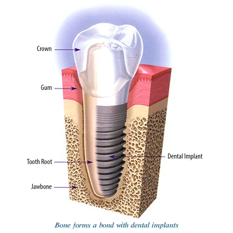 Dentist